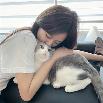 龙猫